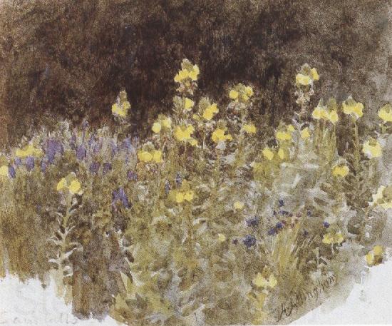 Helen Allingham,R.W.S Studies of Flowers (mk37) Norge oil painting art